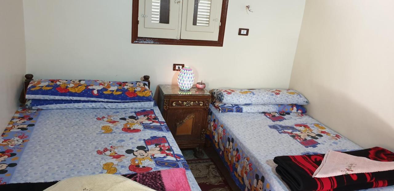 Dara Guest House أسوان المظهر الخارجي الصورة
