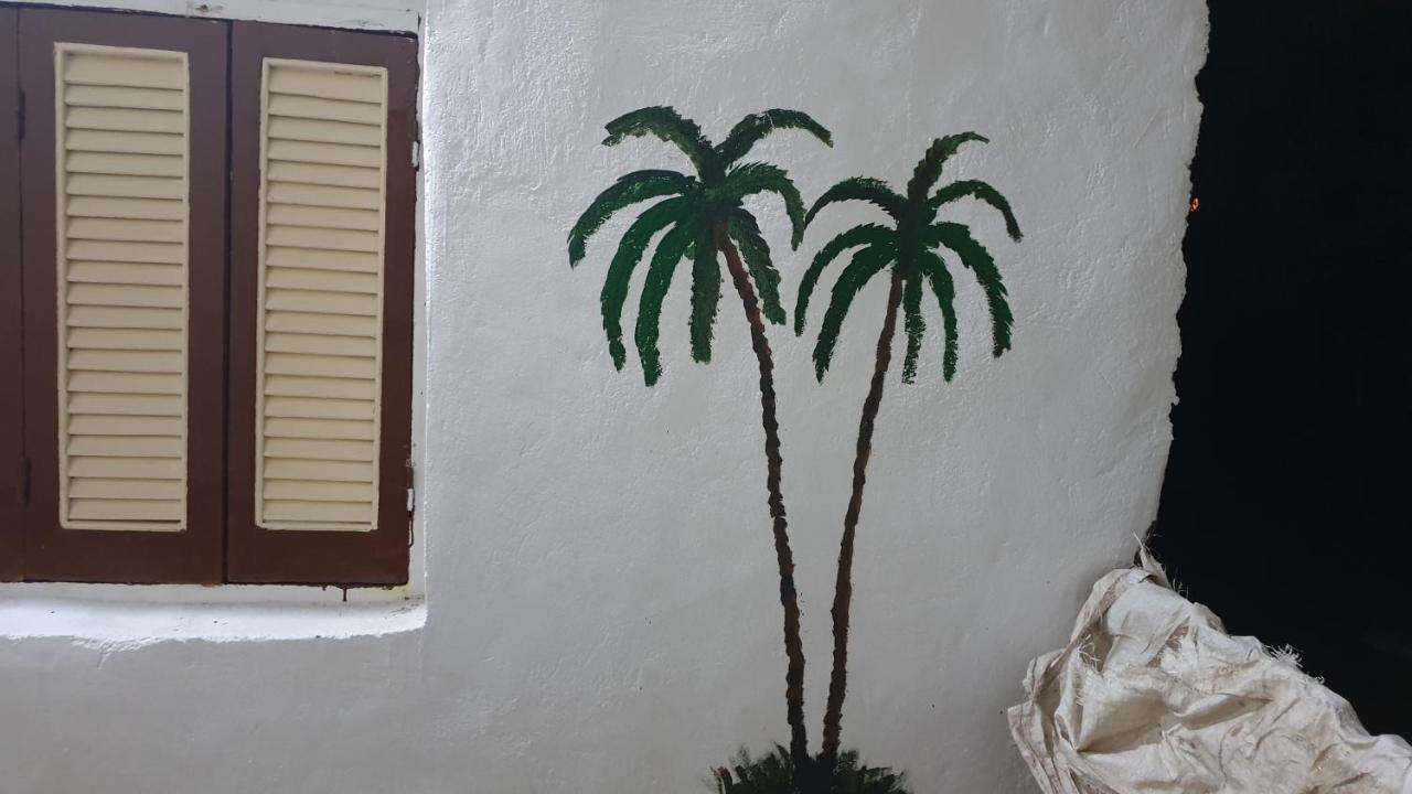 Dara Guest House أسوان المظهر الخارجي الصورة