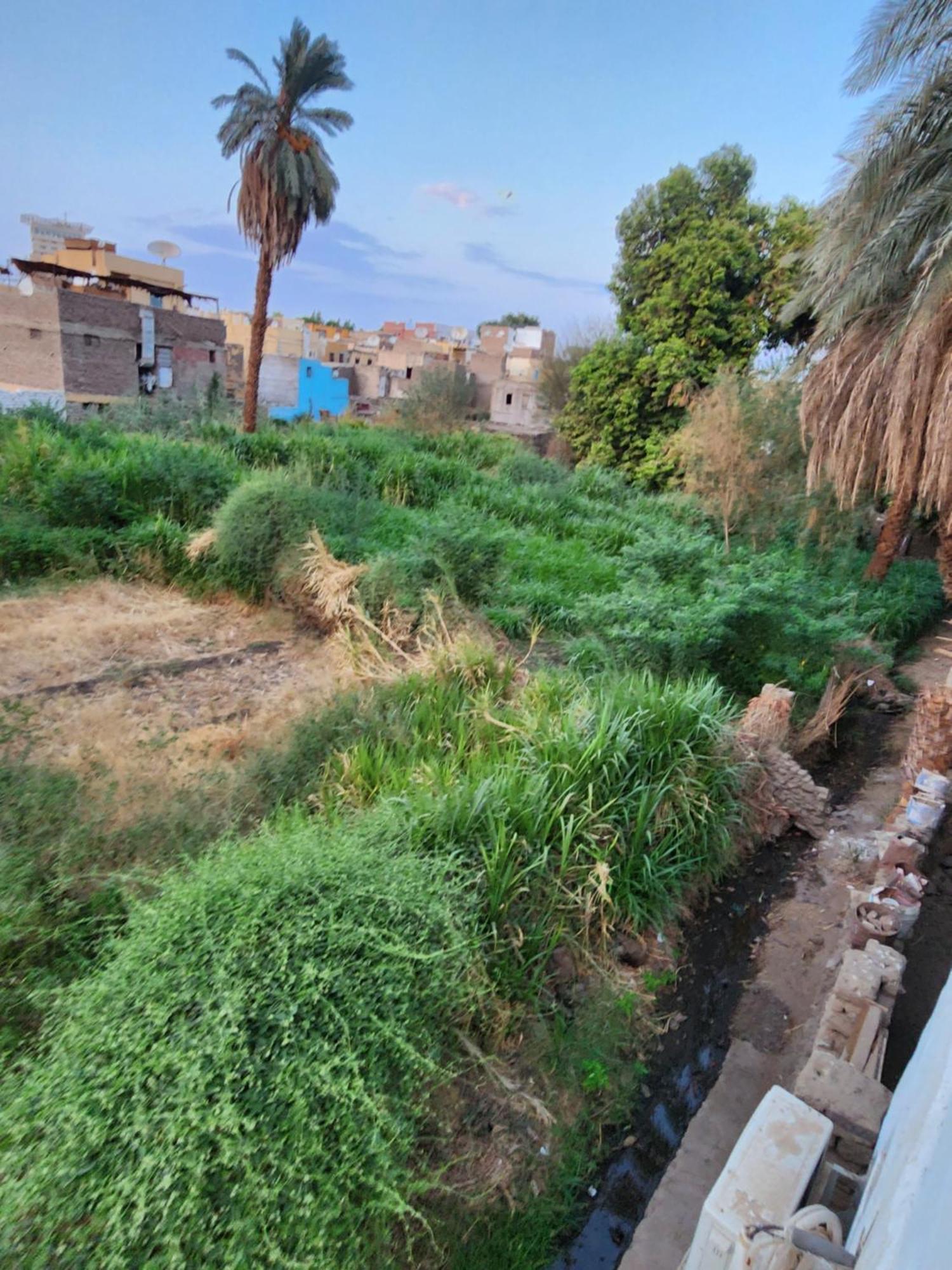 Dara Guest House أسوان المظهر الخارجي الصورة
